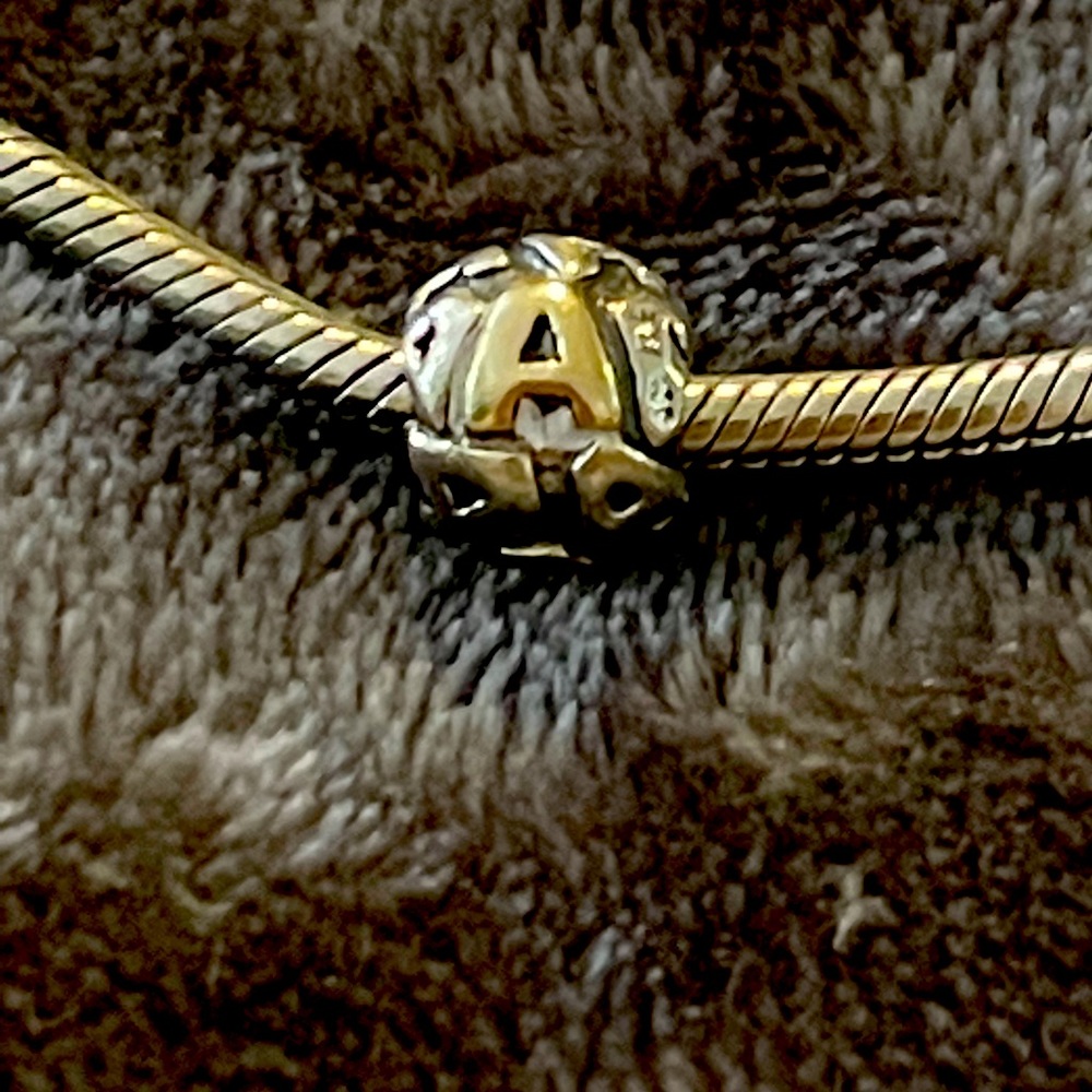 Pandora two tone A charm